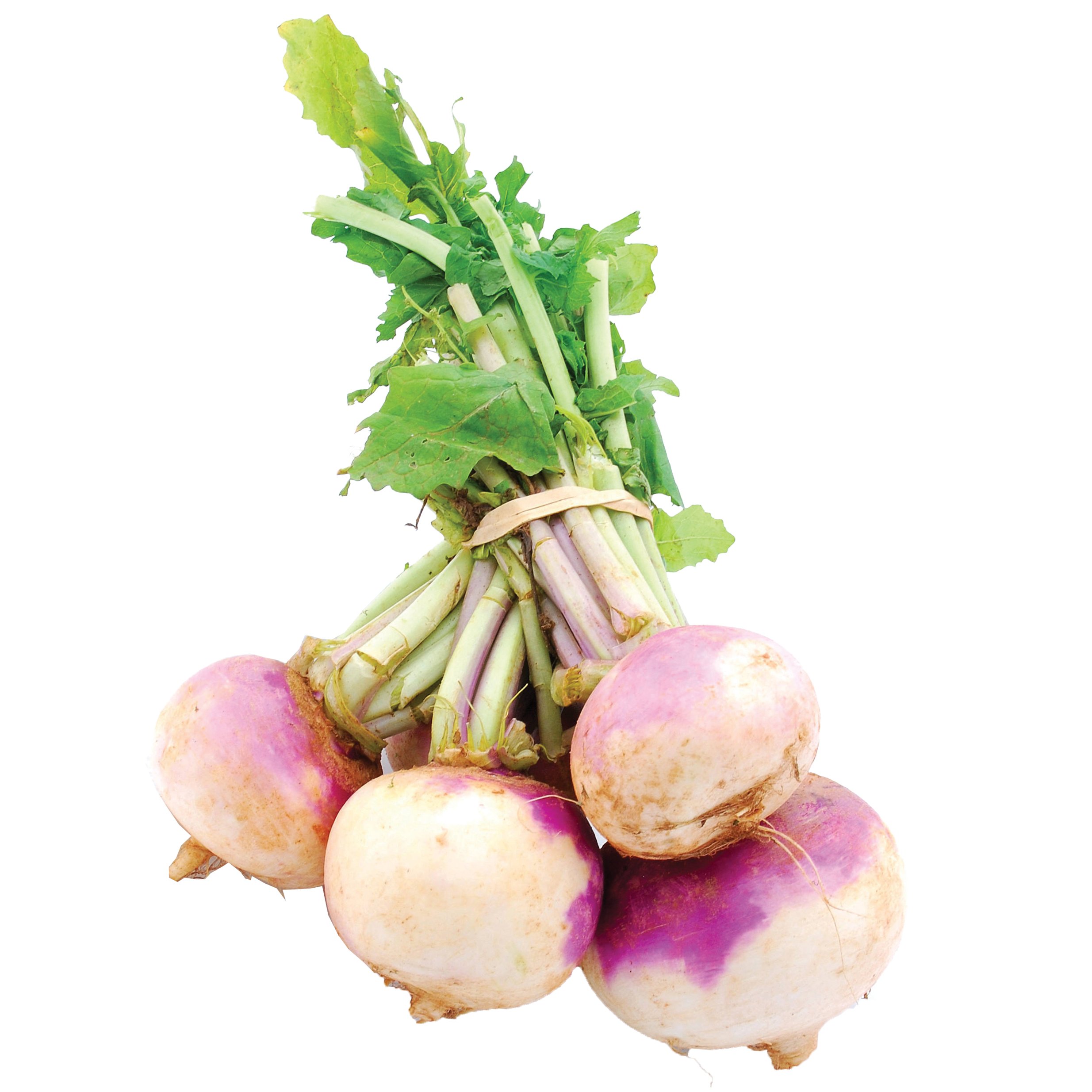 Fresh Turnips With Tops, EACH | Central Market - Really Into Food