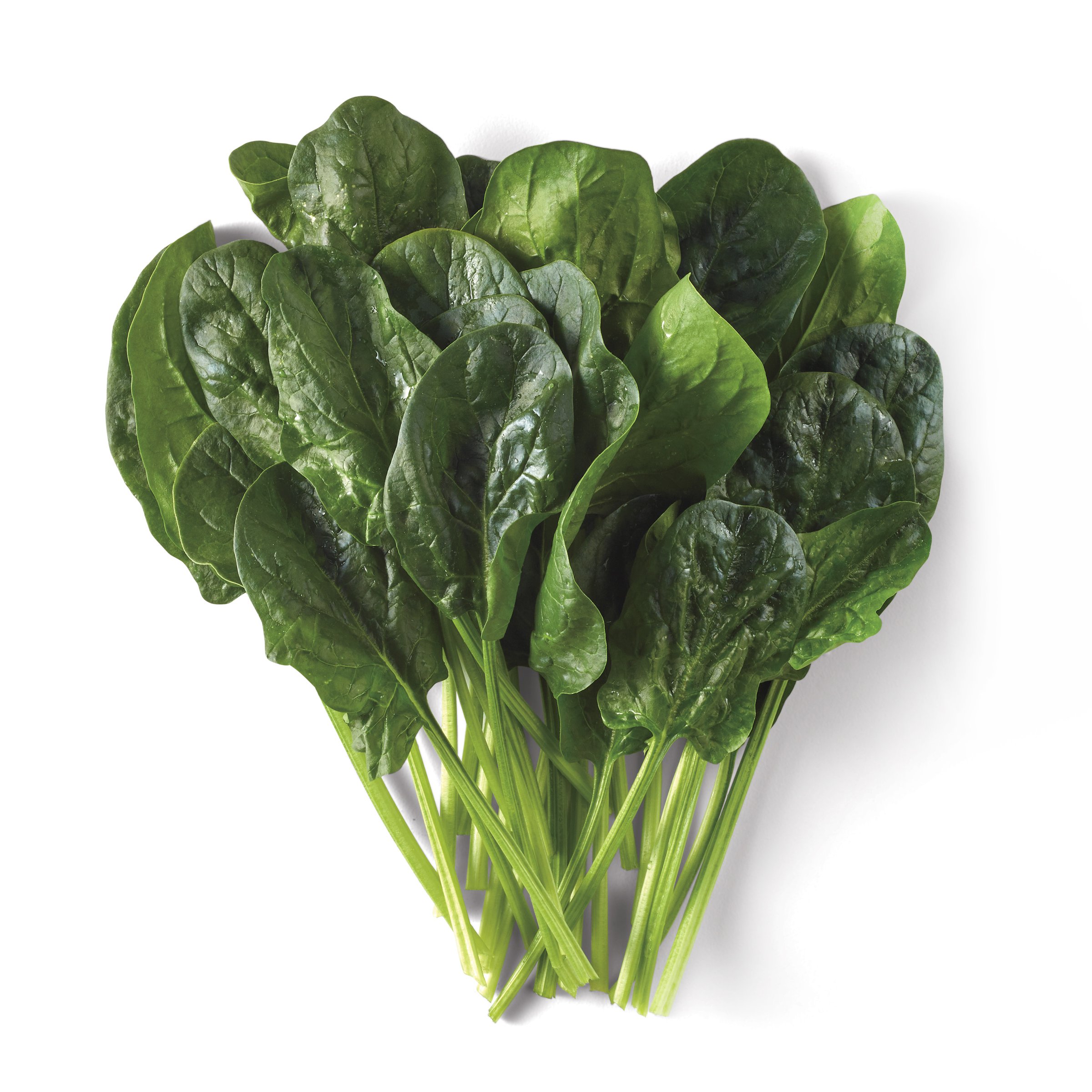 Image of Bunch of fresh spinach