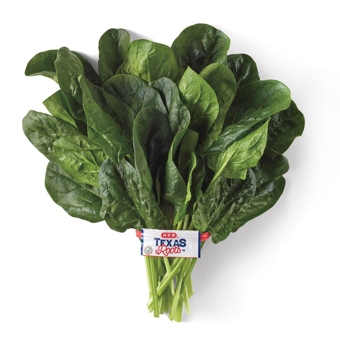 H-E-B Texas Roots Fresh Spinach; image 1 of 2