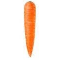 邦楽 CARROTS and STiCKS Carrots and Sticks (album) - Wikipedia