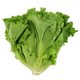 Fresh Green Leaf Lettuce, Each