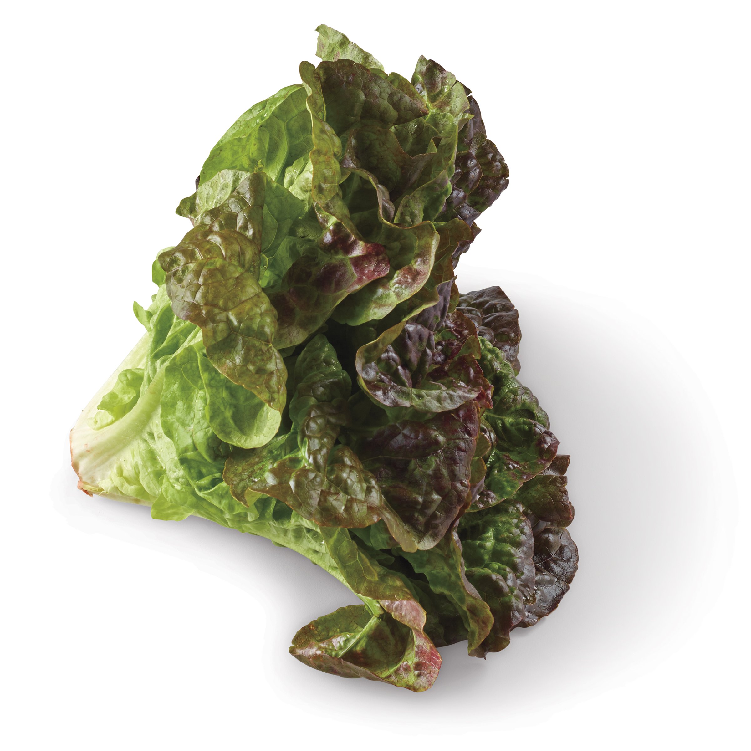 Fresh Red Leaf Lettuce Shop Lettuce & Leafy Greens at HEB