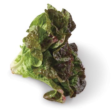 Fresh Red Leaf Lettuce