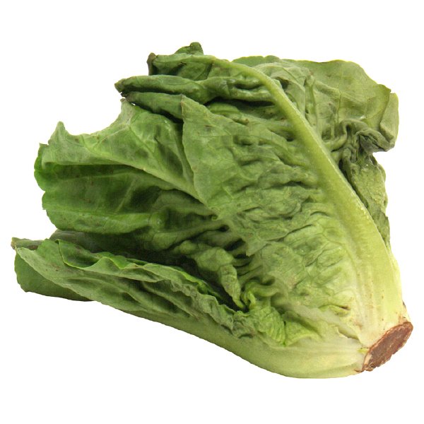 Fresh Escarole Shop Lettuce & Leafy Greens at HEB