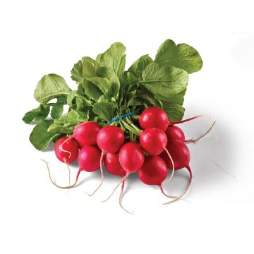 Fresh Red Radishes