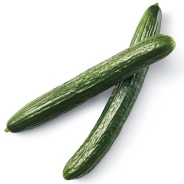 Fresh Seedless Cucumber
