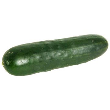 Fresh Cucumber