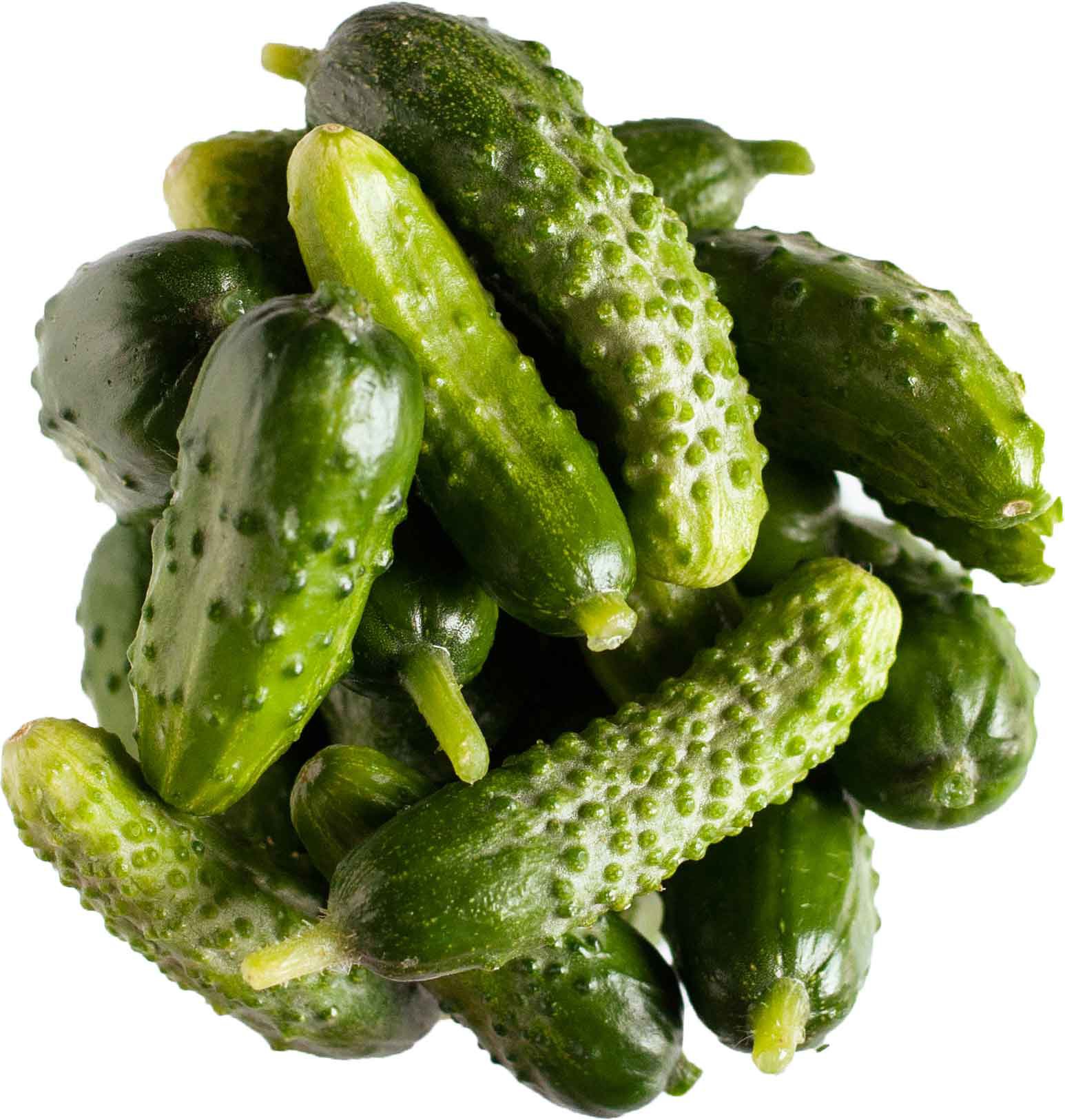 Gherkin Cucumbers Shop Celery & cucumbers at HEB