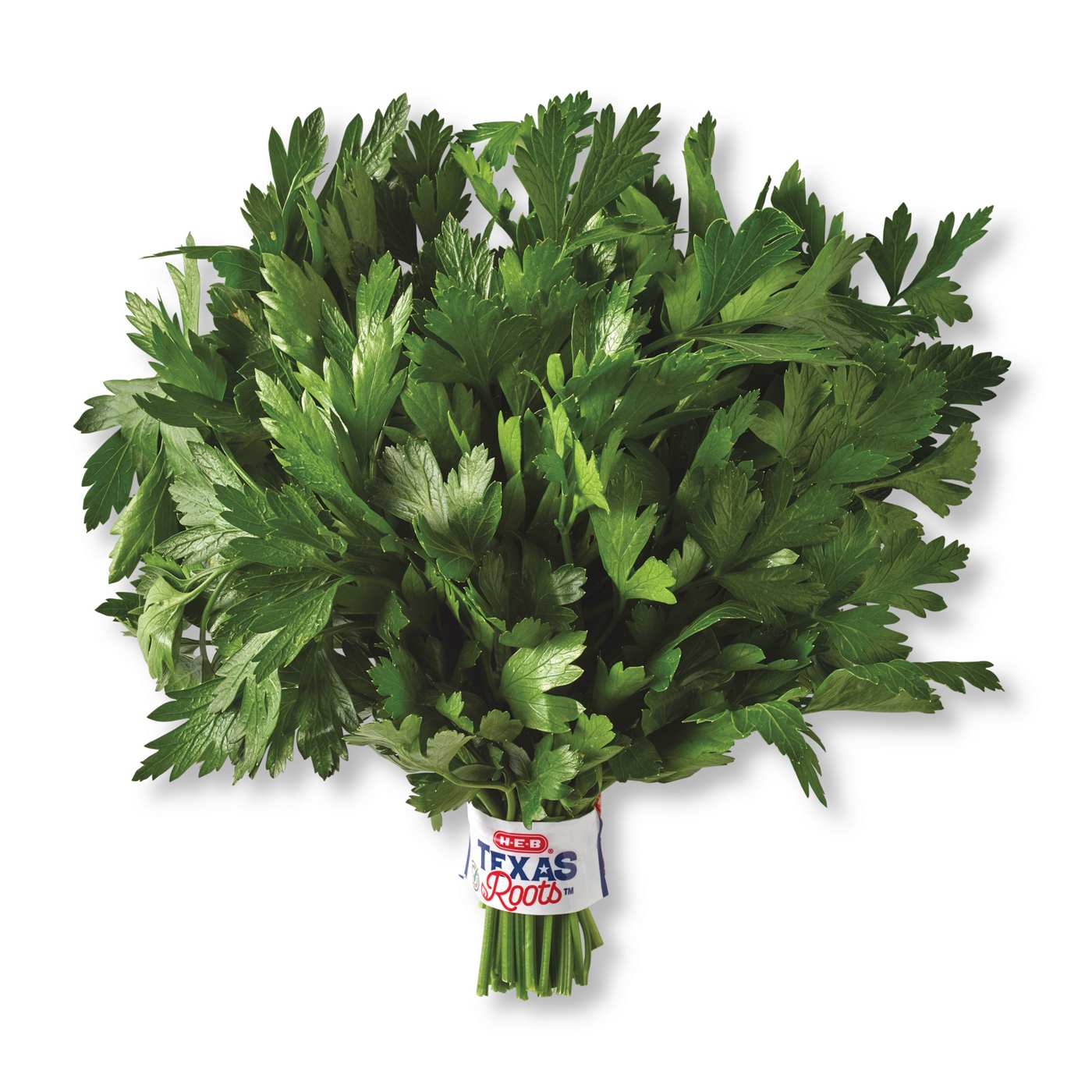 H-E-B Texas Roots Fresh Italian Parsley; image 1 of 2