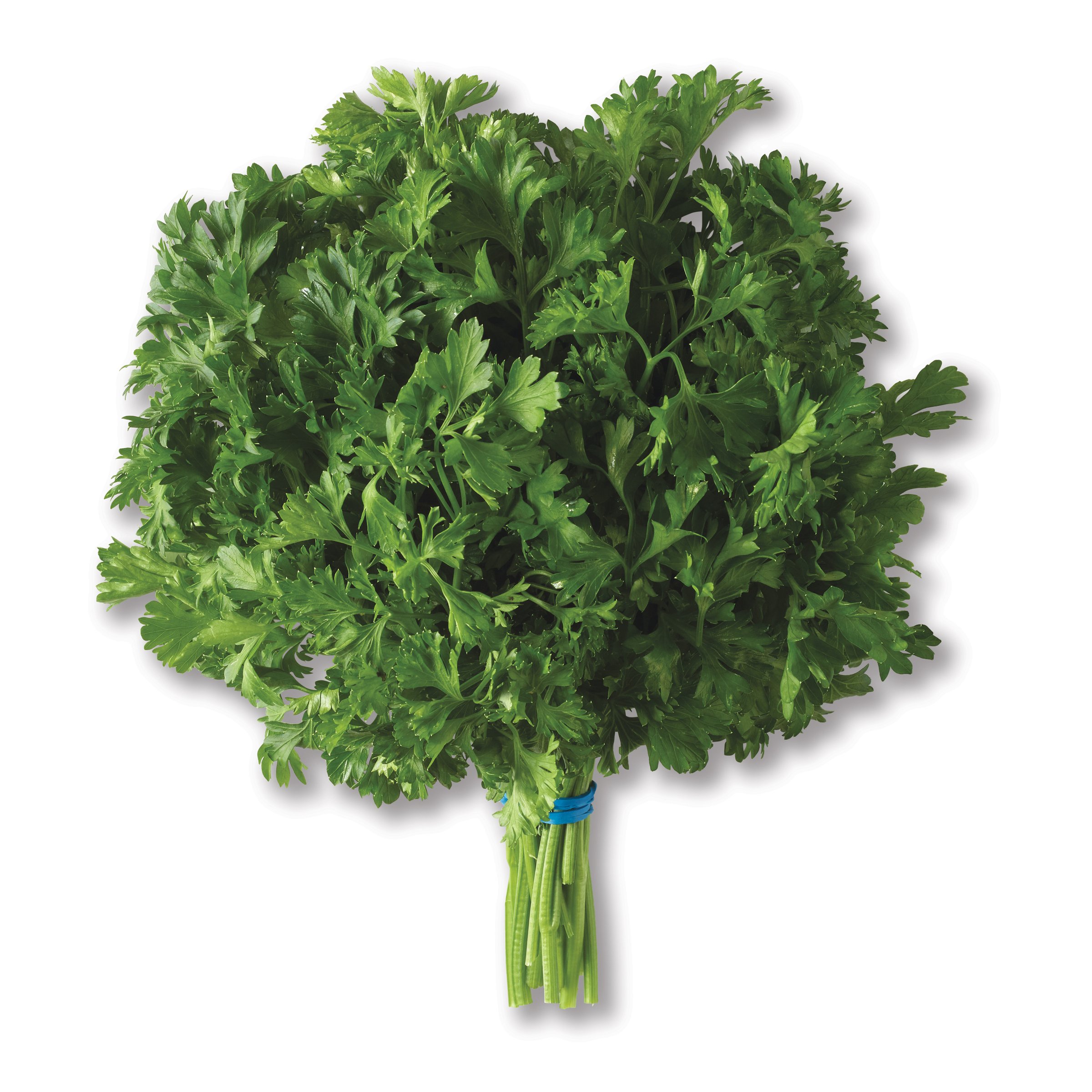 Fresh Curly Leaf Parsley Shop Herbs at HEB