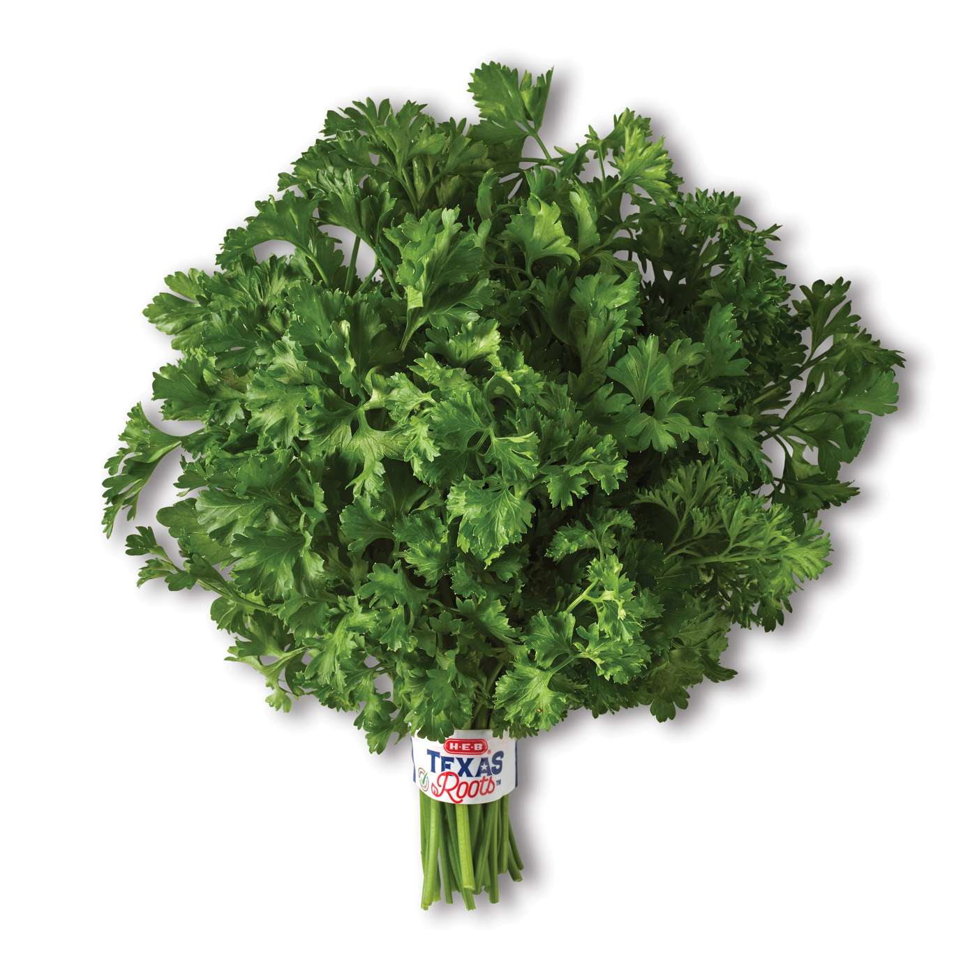 H-E-B Texas Roots Fresh Curly Leaf Parsley; image 1 of 2
