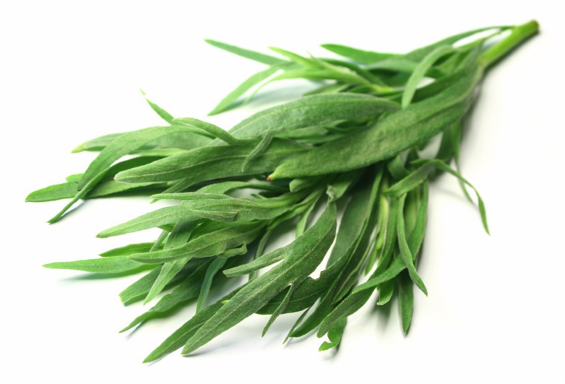 fresh tarragon