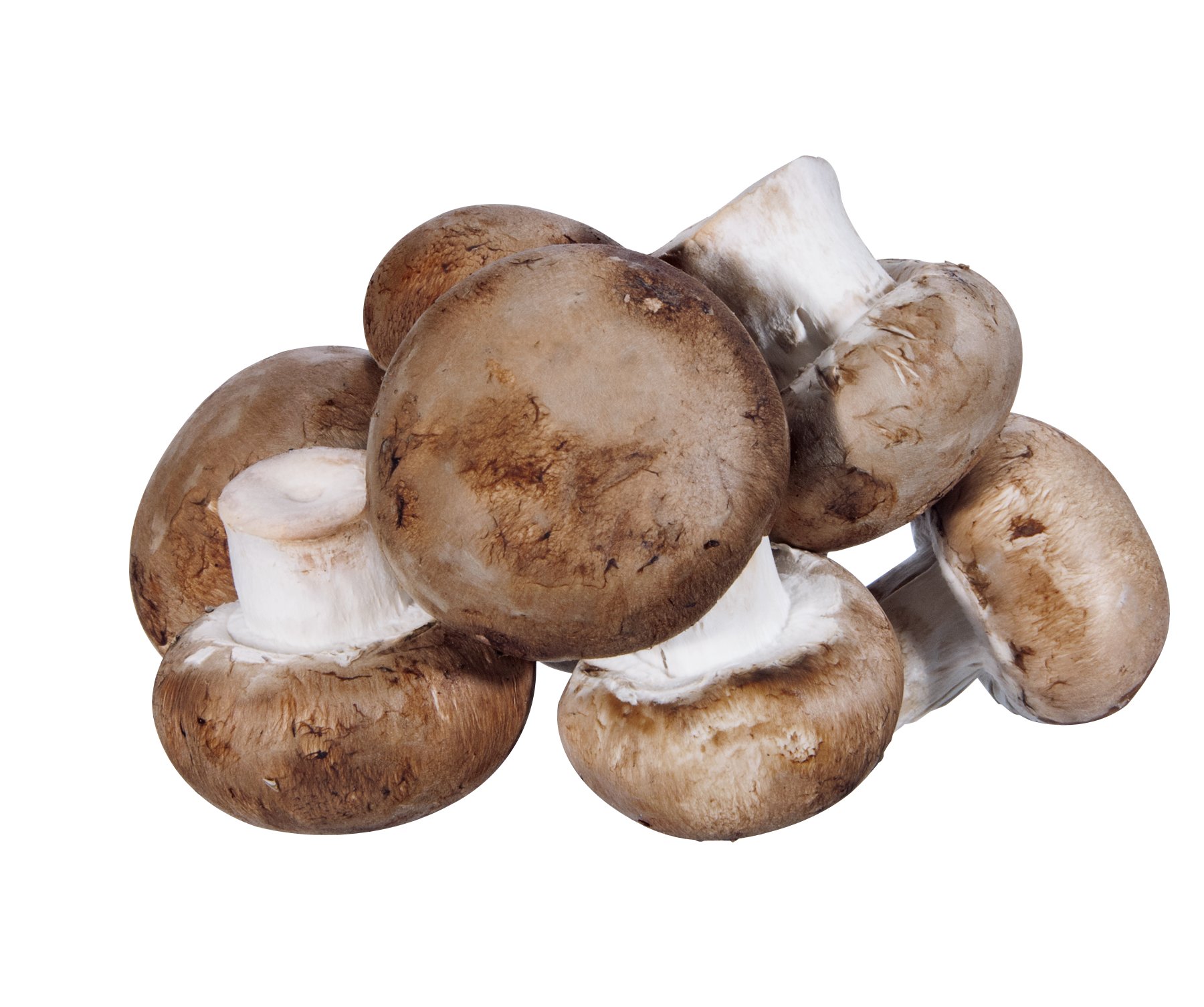 Whole Baby Bella Mushrooms - Shop Mushrooms at H-E-B