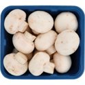 mushroom　0102 ♡ Hi-Fi Mycology Gourmet Mushroom Mix, 8 oz | Central Market