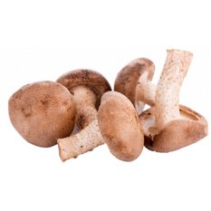 mushroom　0120 MB1420 Garden Mushroom in ready to paint cone 04 ceramic