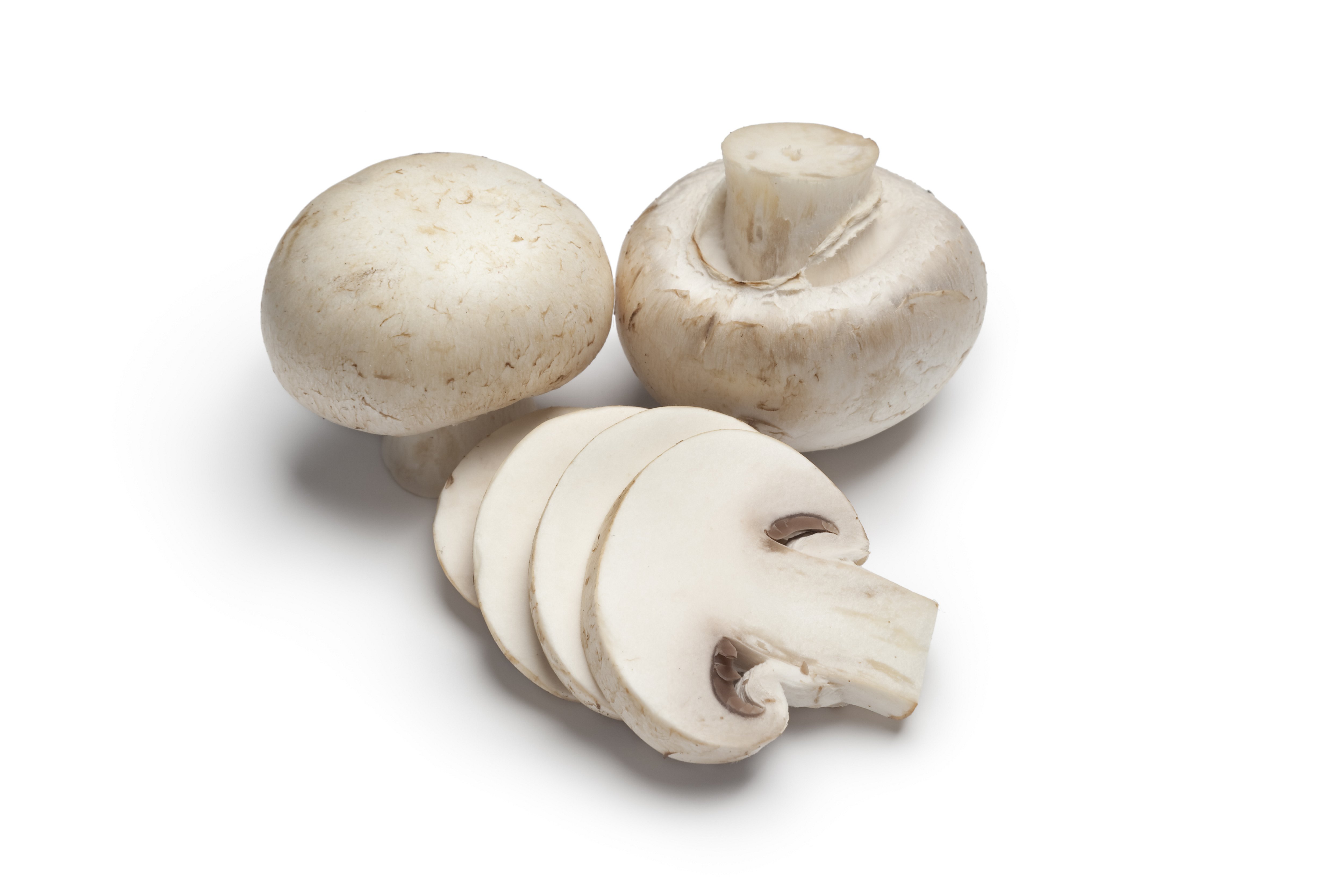 white button mushroom chinese recipe terbaru