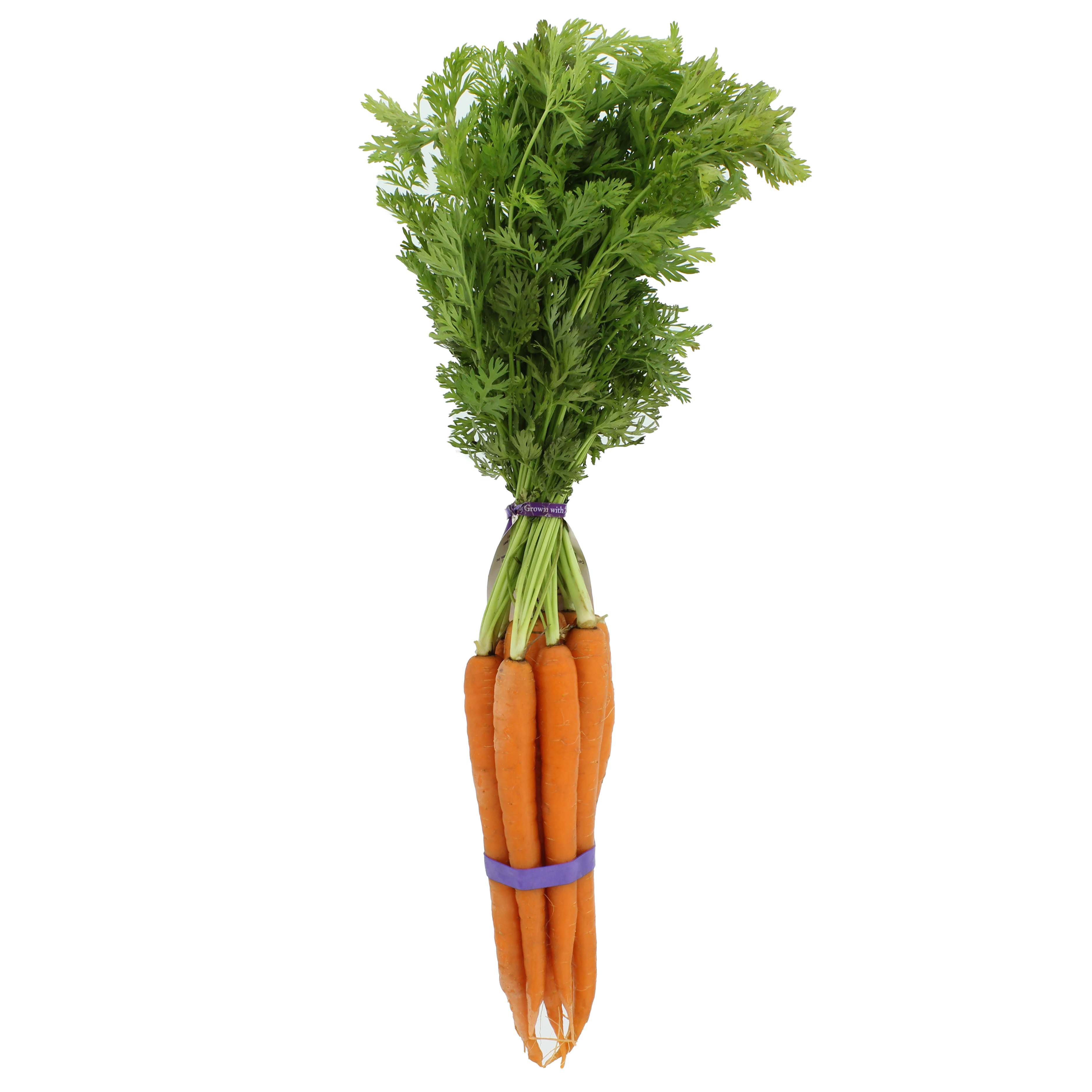 Fresh Organic Carrots - Shop Potatoes & Carrots At H-E-B