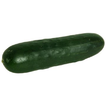 Fresh Organic Cucumber