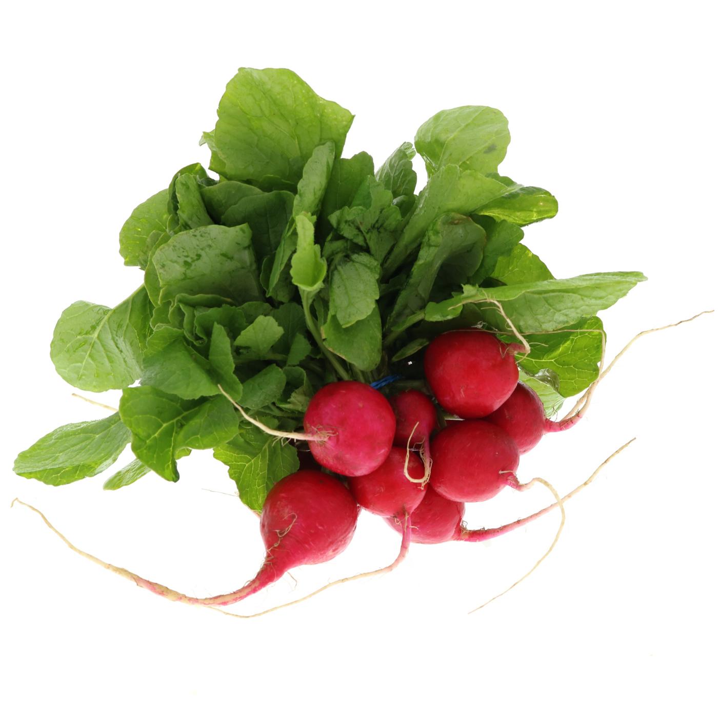 H-E-B Texas Roots Fresh Organic Radish Bunch; image 1 of 2