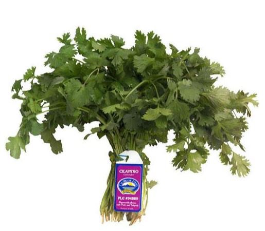 Fresh Organic Cilantro Shop Herbs at HEB