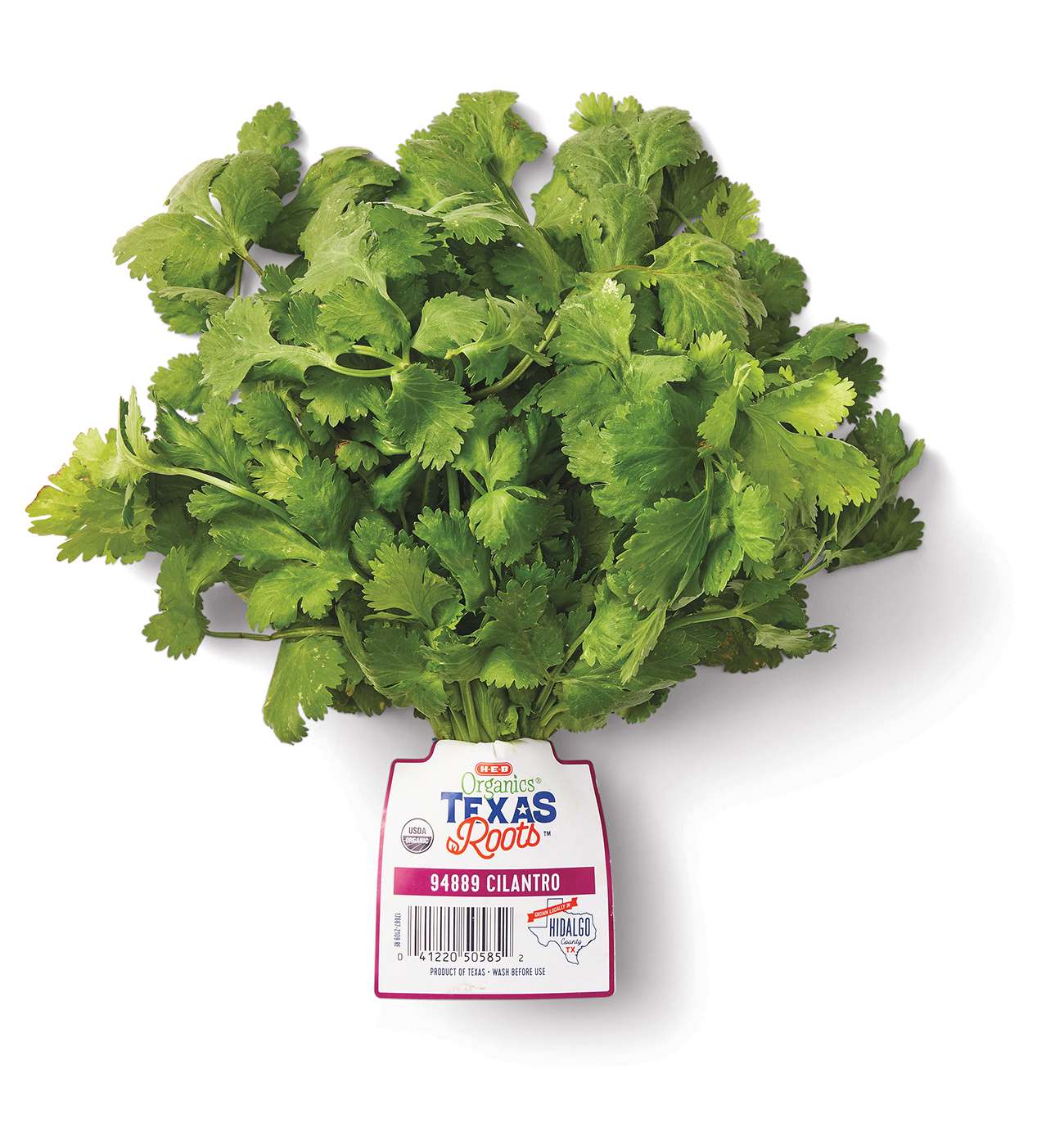 H-E-B Texas Roots Fresh Organic Cilantro; image 1 of 2