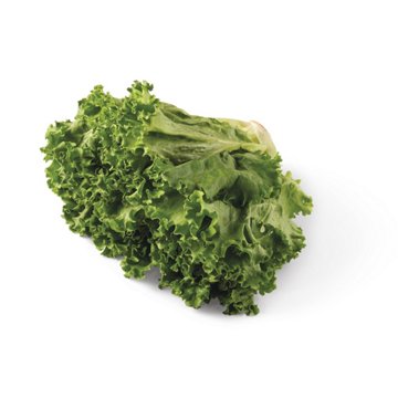Fresh Organic Green Leaf Lettuce