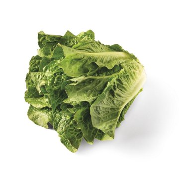 Fresh Organic Romaine Lettuce