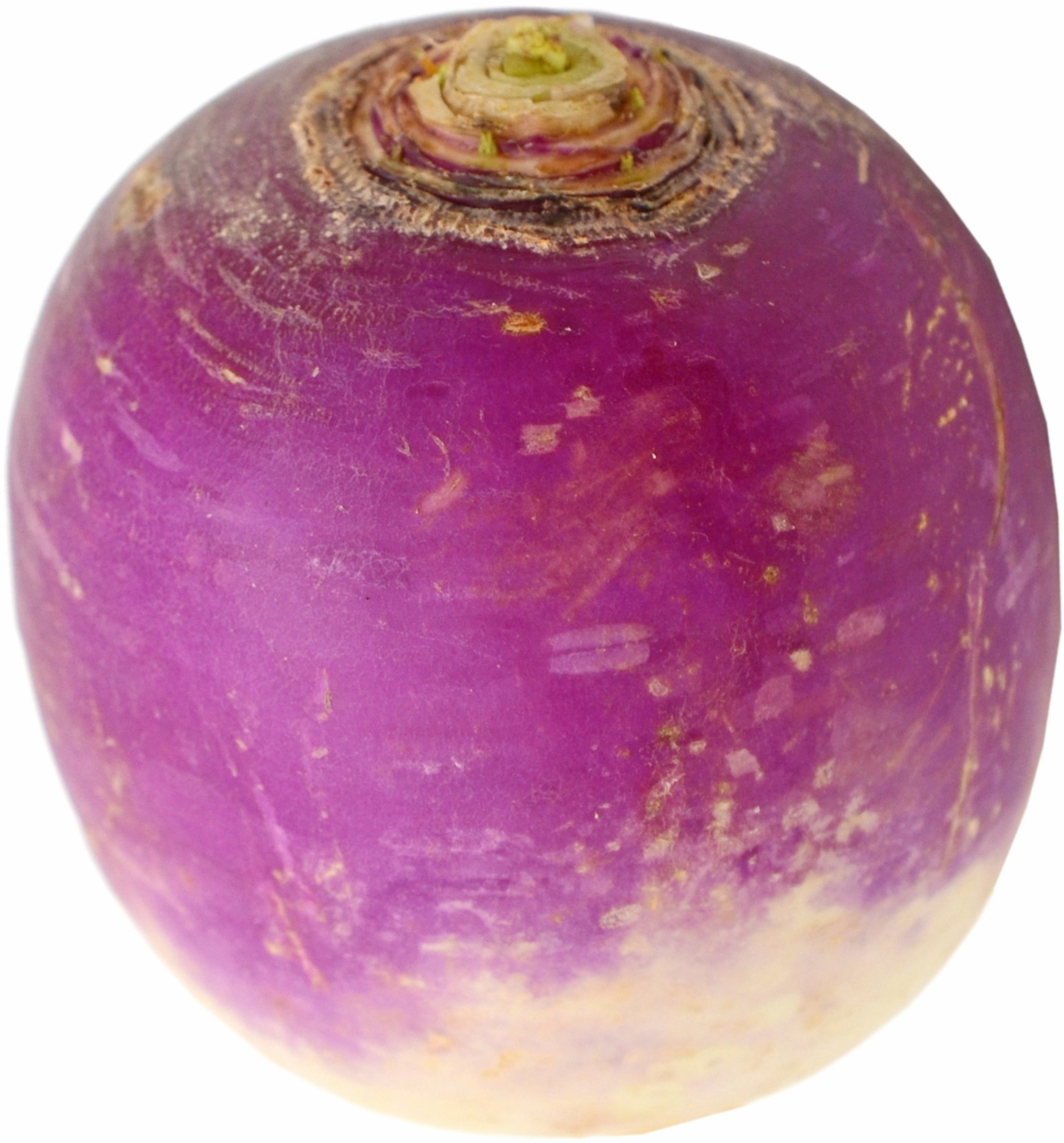 Fresh Organic Bulk Turnips - Shop Potatoes & carrots at H-E-B