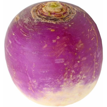 Fresh Organic Bulk Turnips | Central Market - Really Into Food