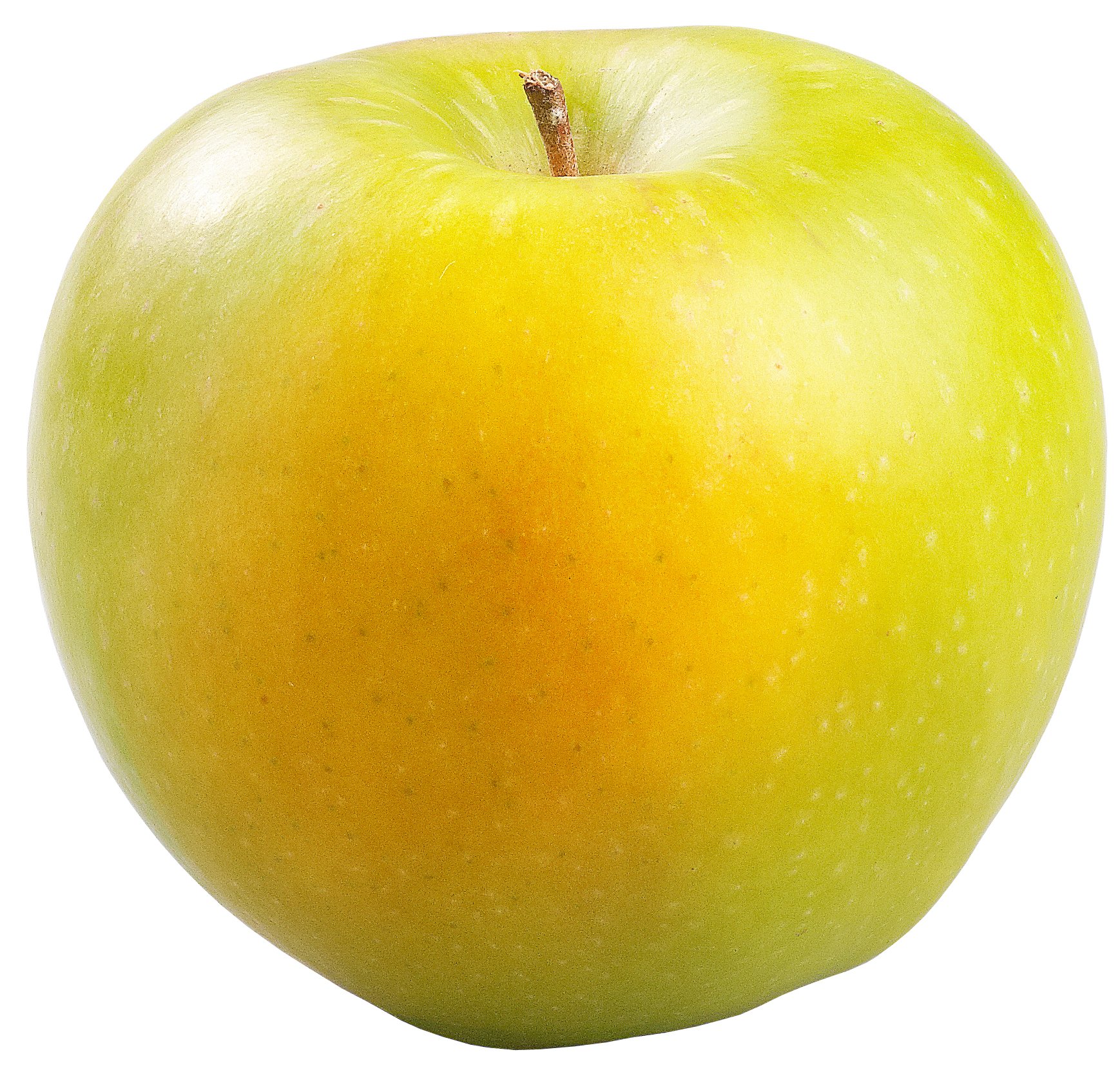 Organic Gingergold Apples | Central Market - Really Into Food