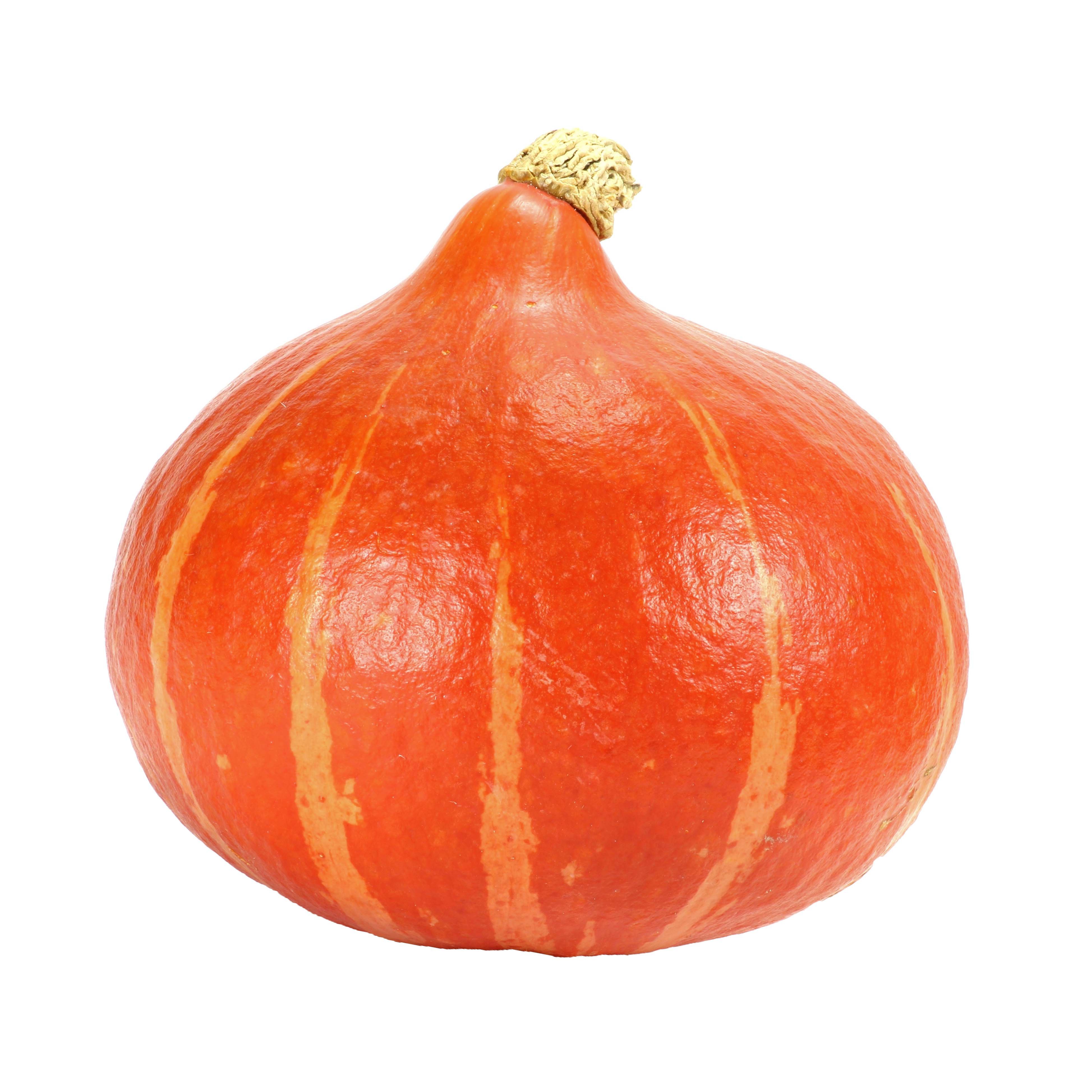 Organic Red Kuri Squash | Central Market - Really Into Food