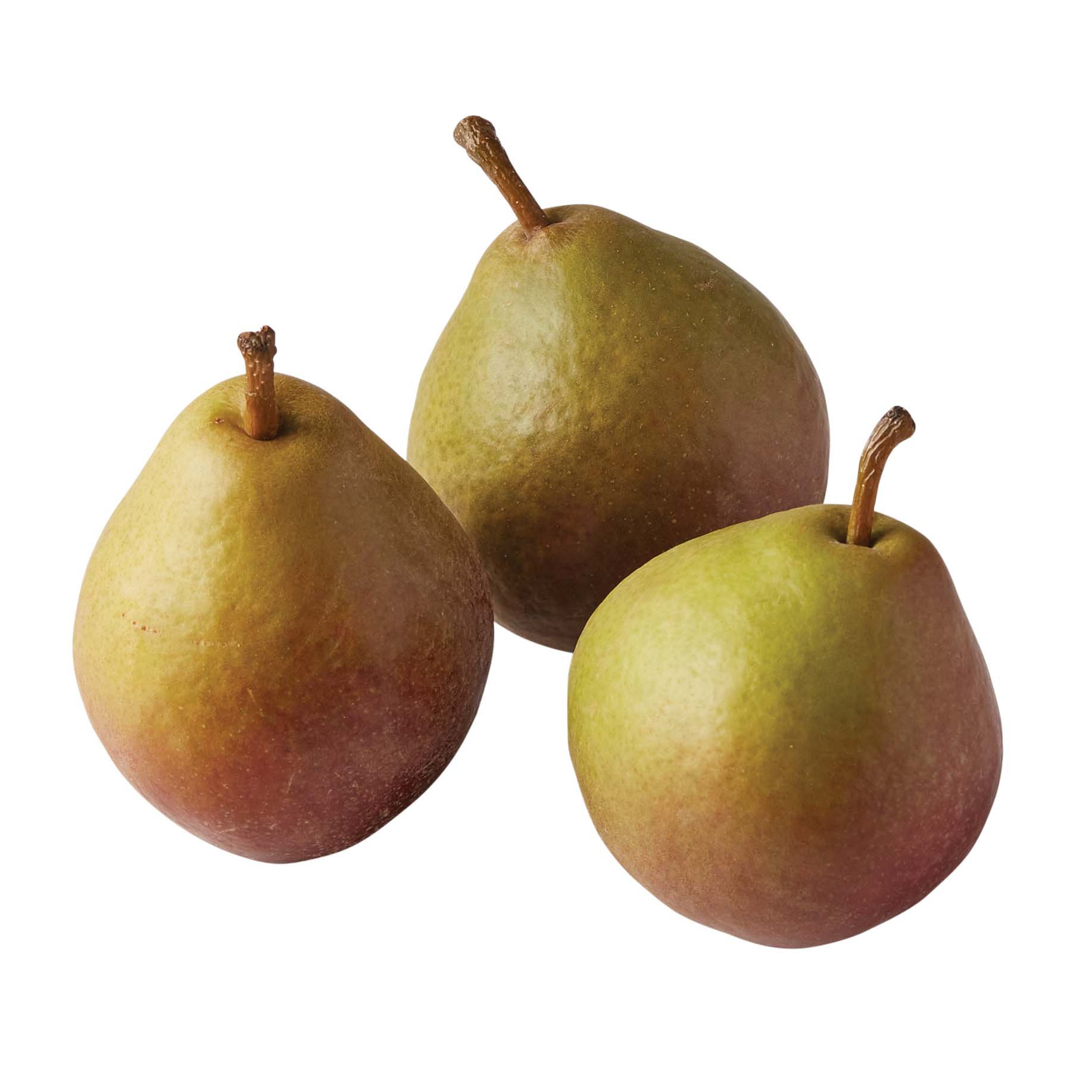 Fresh Seckel Pears Shop Pears at HEB