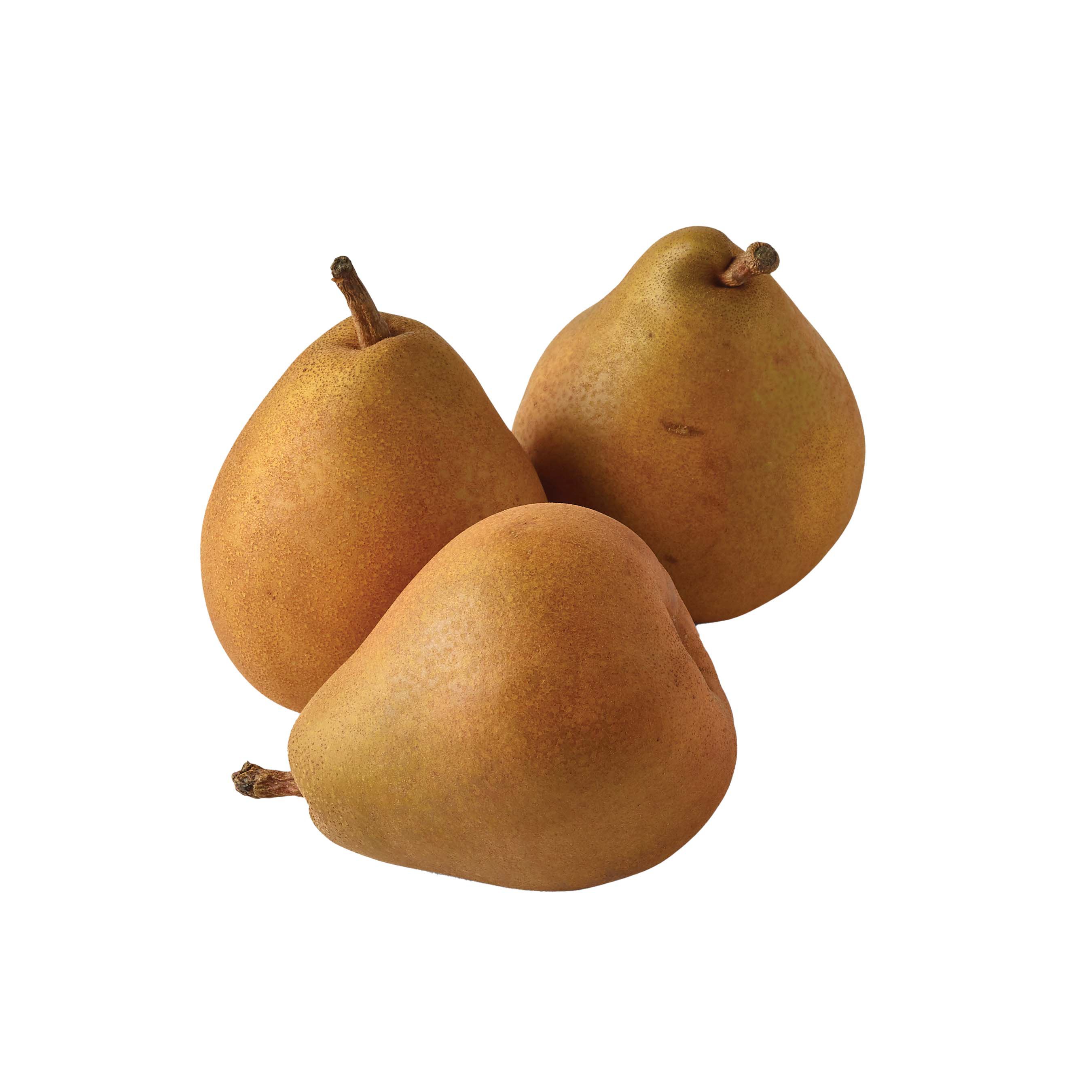 Taylor Gold Pear