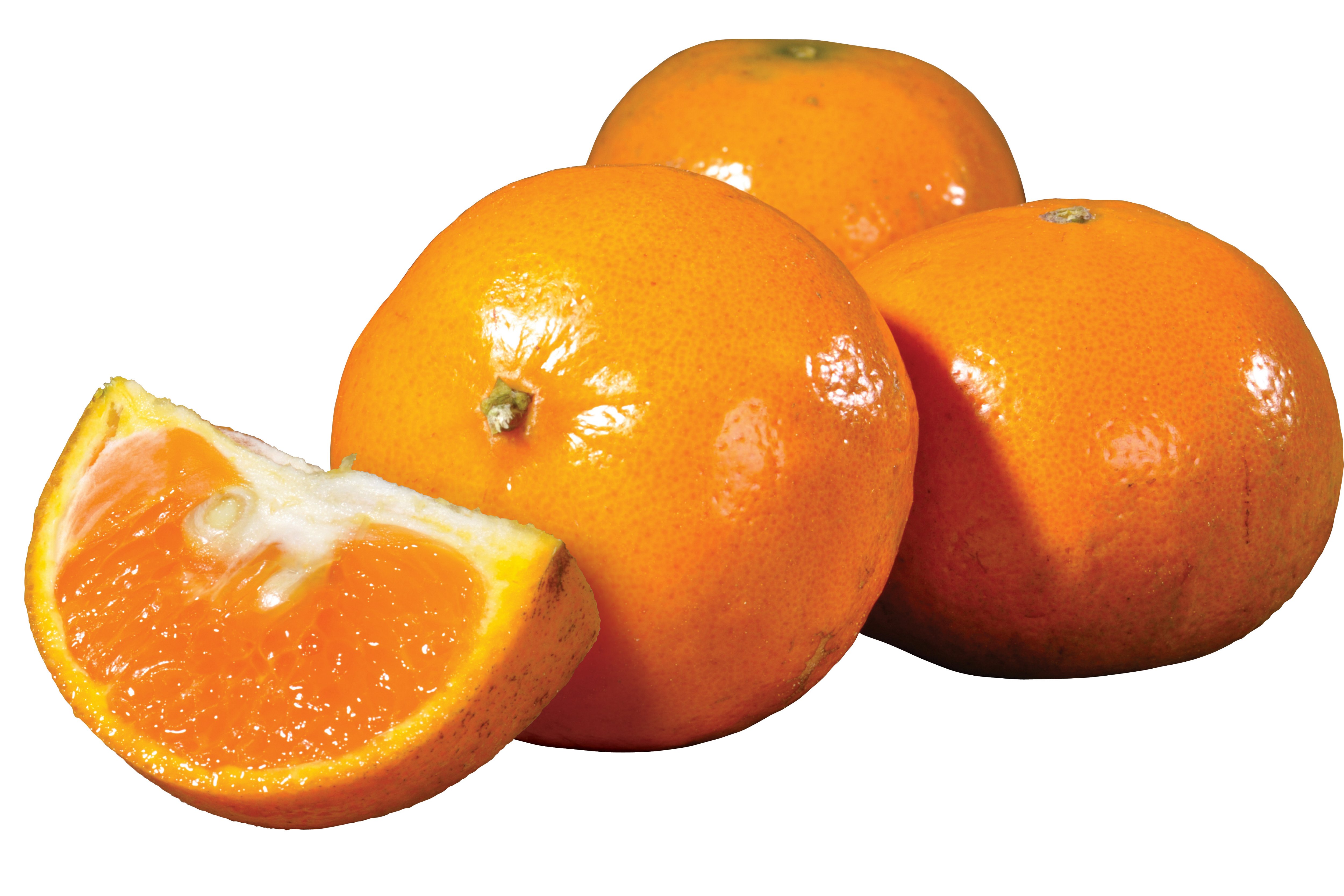 Fresh Honey Tangerines Shop Fruit At H E B