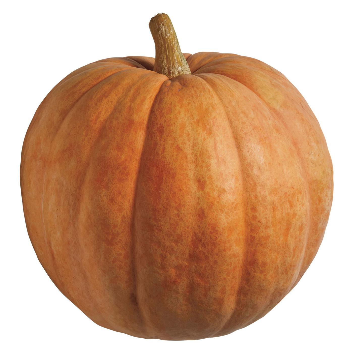 H-E-B Texas Roots Giant Pumpkin; image 1 of 4