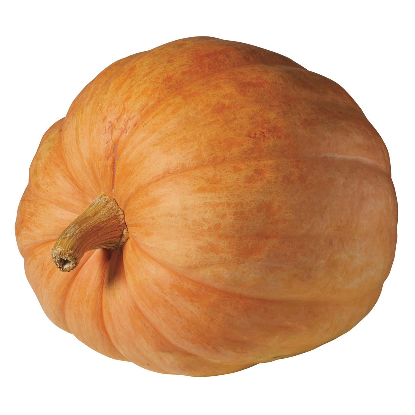 HEB Texas Roots Giant Pumpkin Shop Squash & pumpkins at HEB