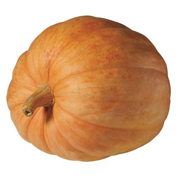 H-E-B Texas Roots Giant Pumpkins