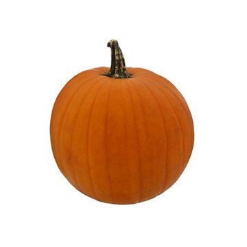 Fresh Medium Jack-o'-Lantern Pumpkin
