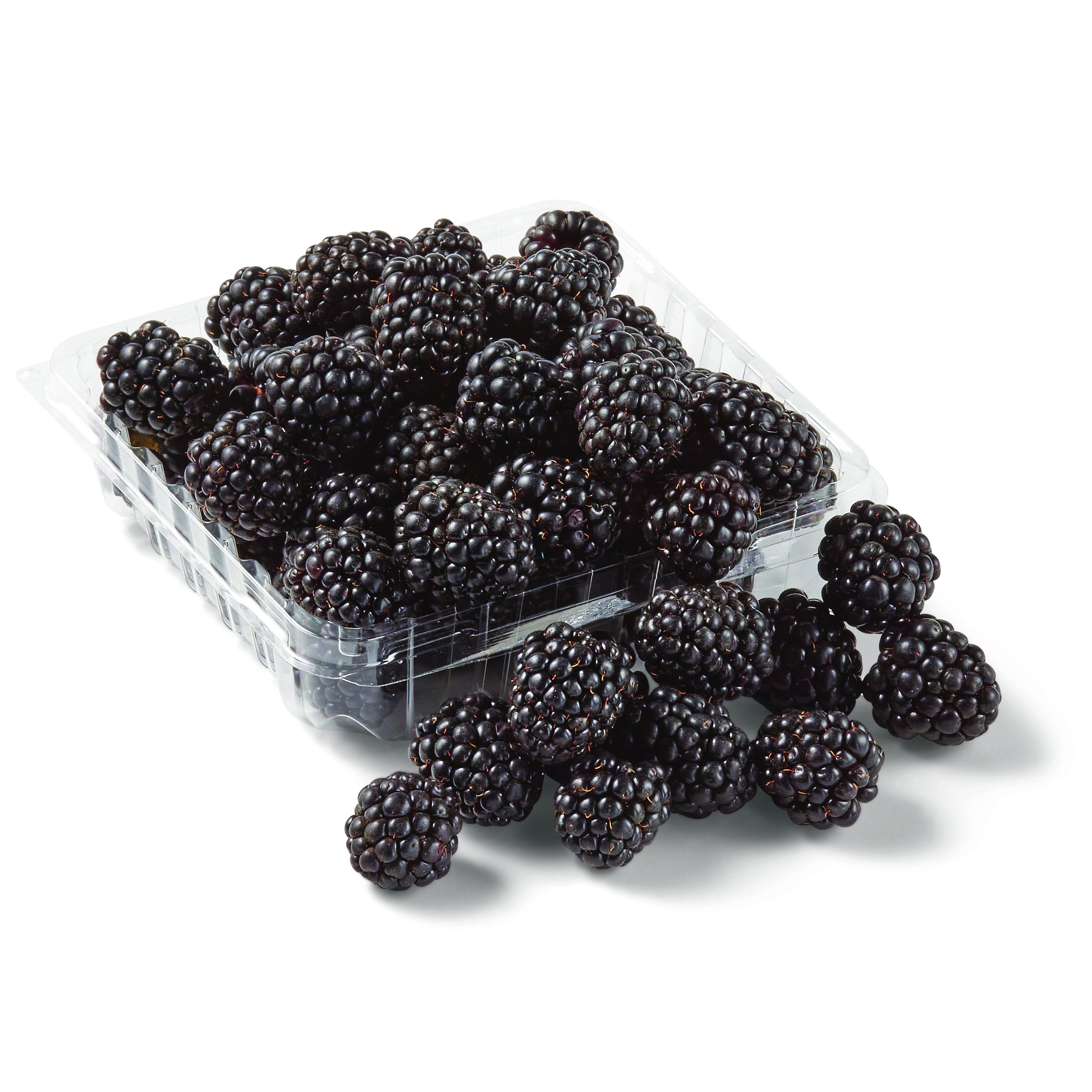 Fresh Blackberries Shop Fruit at HEB
