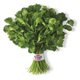 H-E-B Texas Roots Fresh Cilantro, 1 Bunch