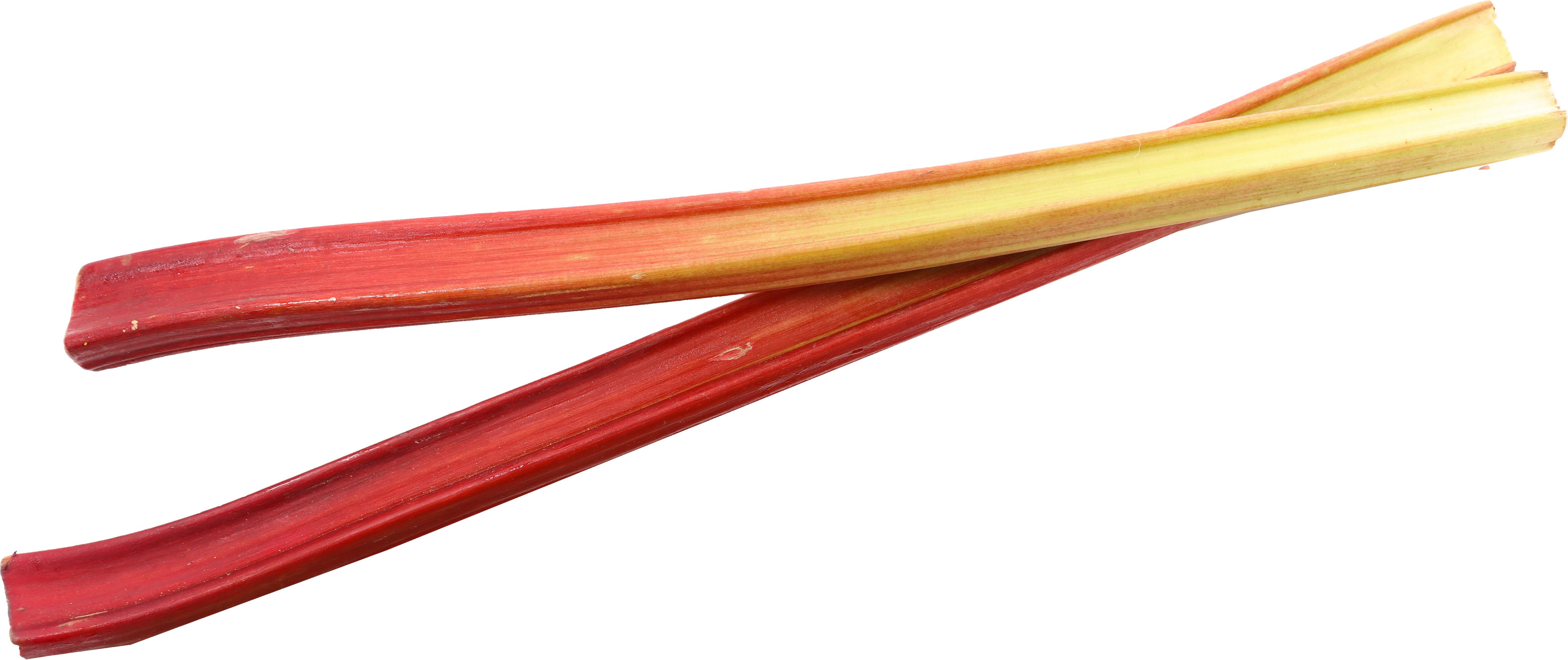 Organic Rhubarb Shop at HEB