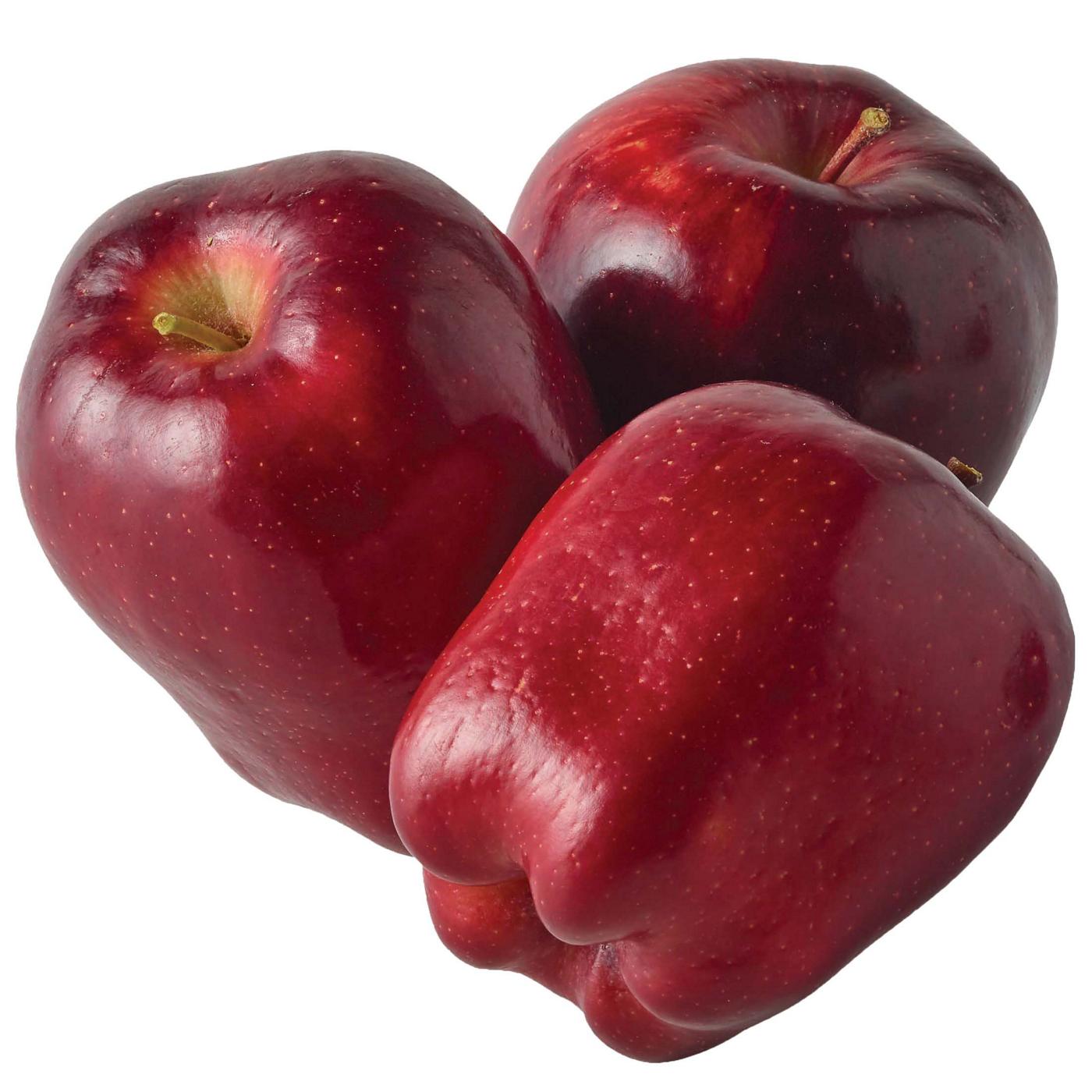 Fresh Red Delicious Apple; image 1 of 2