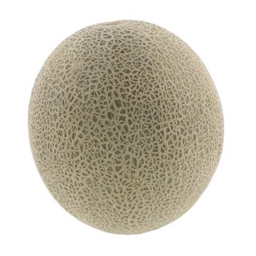 Fresh Cantaloupe