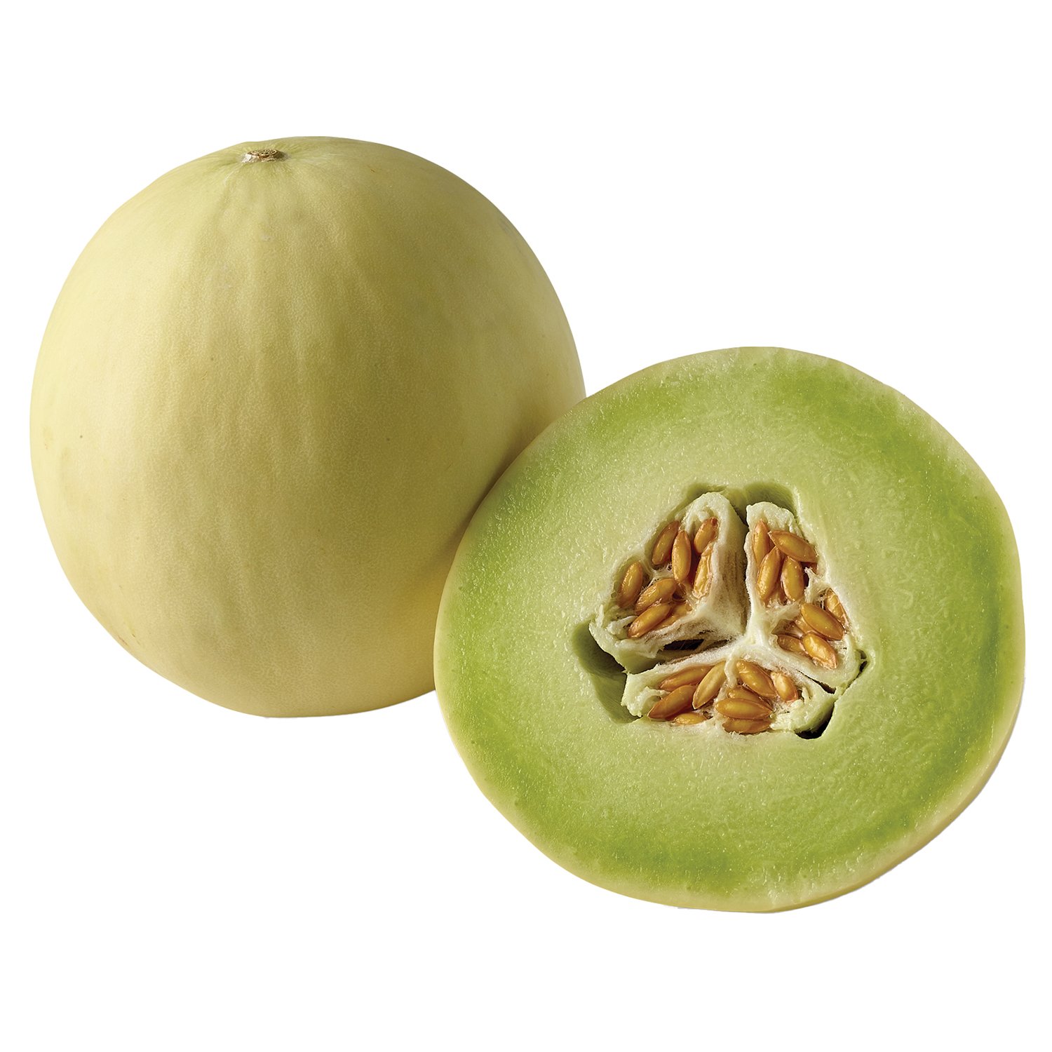 Fresh Honeydew Melon - Shop Melons At H-E-B