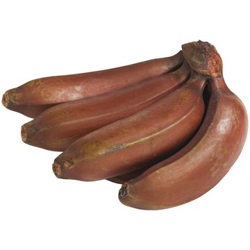 Fresh Bunch of Red Bananas, Avg. 2.57 lbs