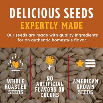 DAVID Roasted Salted Pumpkin Seeds, 5 oz