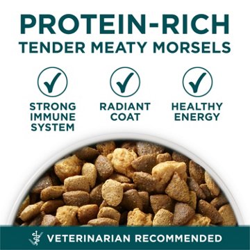 Purina ONE Plus Large Breed Puppy Food Dry Formula