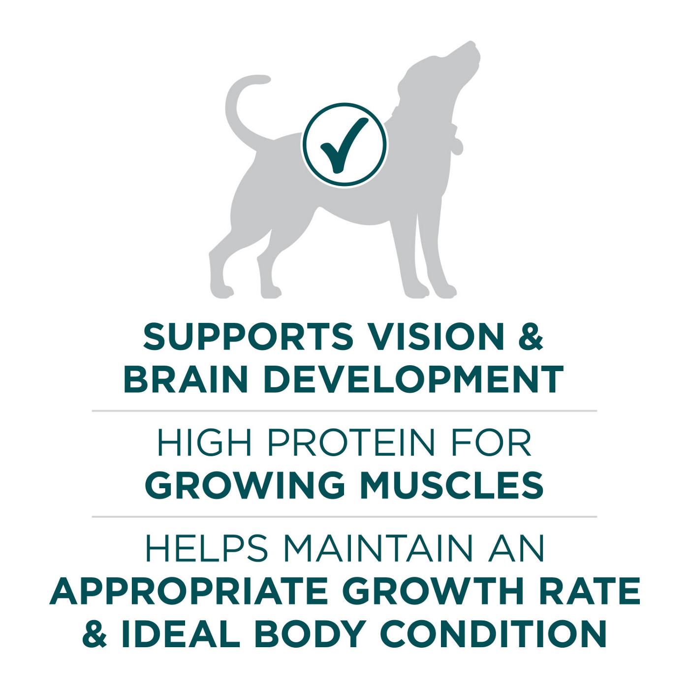 Purina ONE Plus Large Breed Puppy Food Dry Formula; image 5 of 6