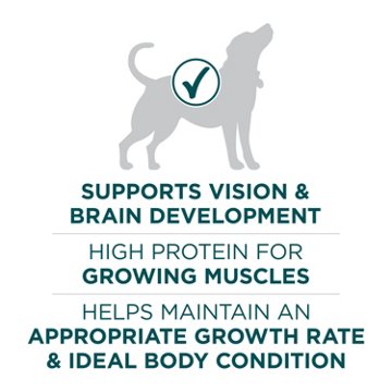 Purina ONE Plus Large Breed Puppy Food Dry Formula