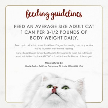 Fancy Feast Purina Tender Feast Classic Grain Free Wet Cat Food Pate - Beef